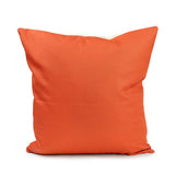Holly Cushion (Red Reverse)