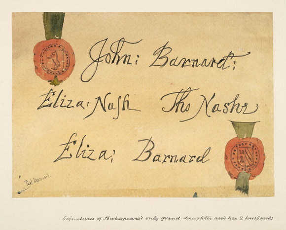 Signatures by Paul Braddon