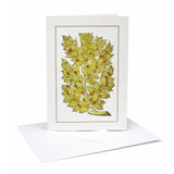 Christmas Cards Holly (Pack of 10)