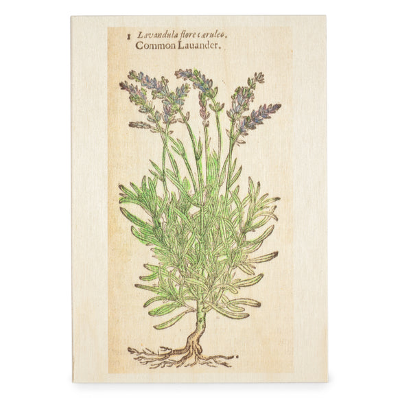 Wooden Postcard Lavender